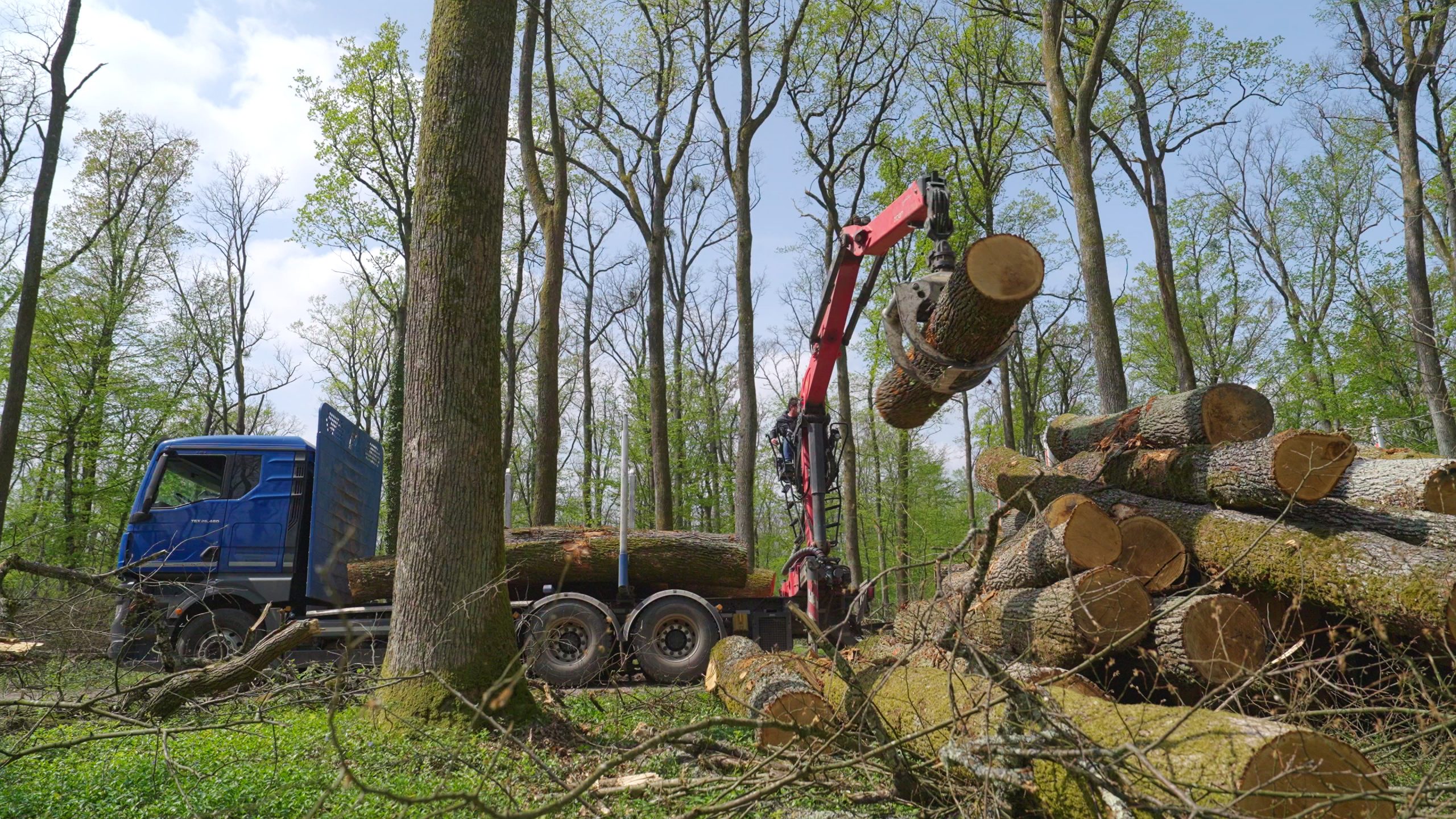 In The Making: Sourcing the timber​